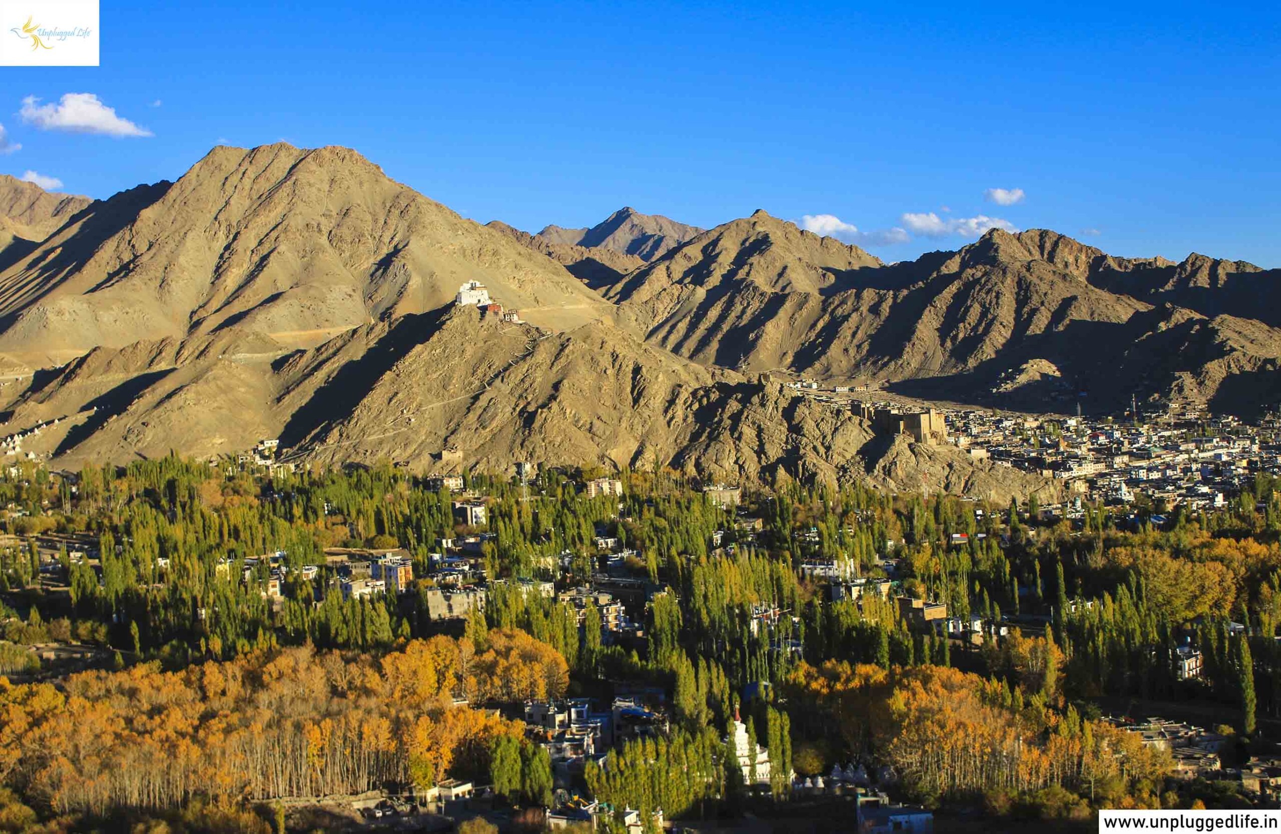 Leh city view, ladakh city view, ladakh road trip, ladakh trip,