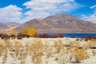 7 DAYS LADAKH ITINERARY