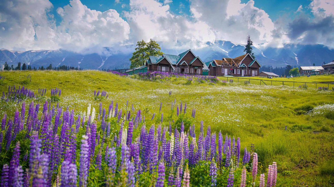 A 7-DAY KASHMIR ITINERARY