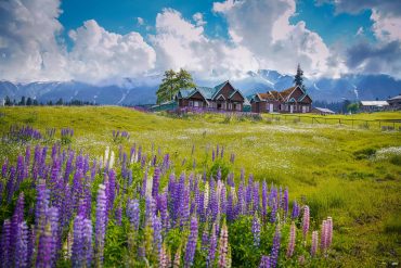 A 7-DAY KASHMIR ITINERARY